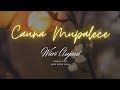 CAUNA MUPALECE - Wiwi Anjani || Lirik & Lagu || Voc & Cipt. Wiwi Anjani