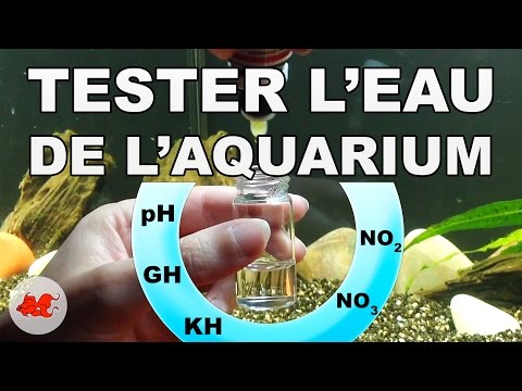 Vidéo: Comment Mesurer La Dureté De L'eau De Votre Aquarium