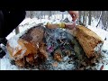 Картошка с мясом на углях в лесу)