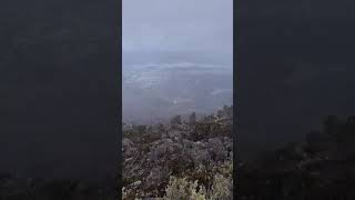 Snowing Mt Wellington Tasmania #shorts