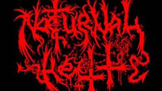 Nocturnal Hell- Rape The Fucking Purity Nocturnal Hell- Rape The Fucking Purity