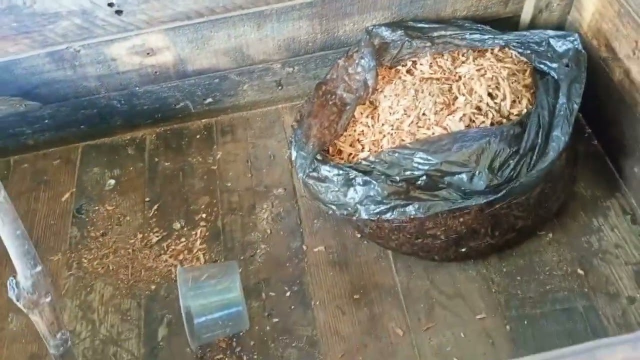 Konsep brooder dan cara saya besarkan anak² ayam