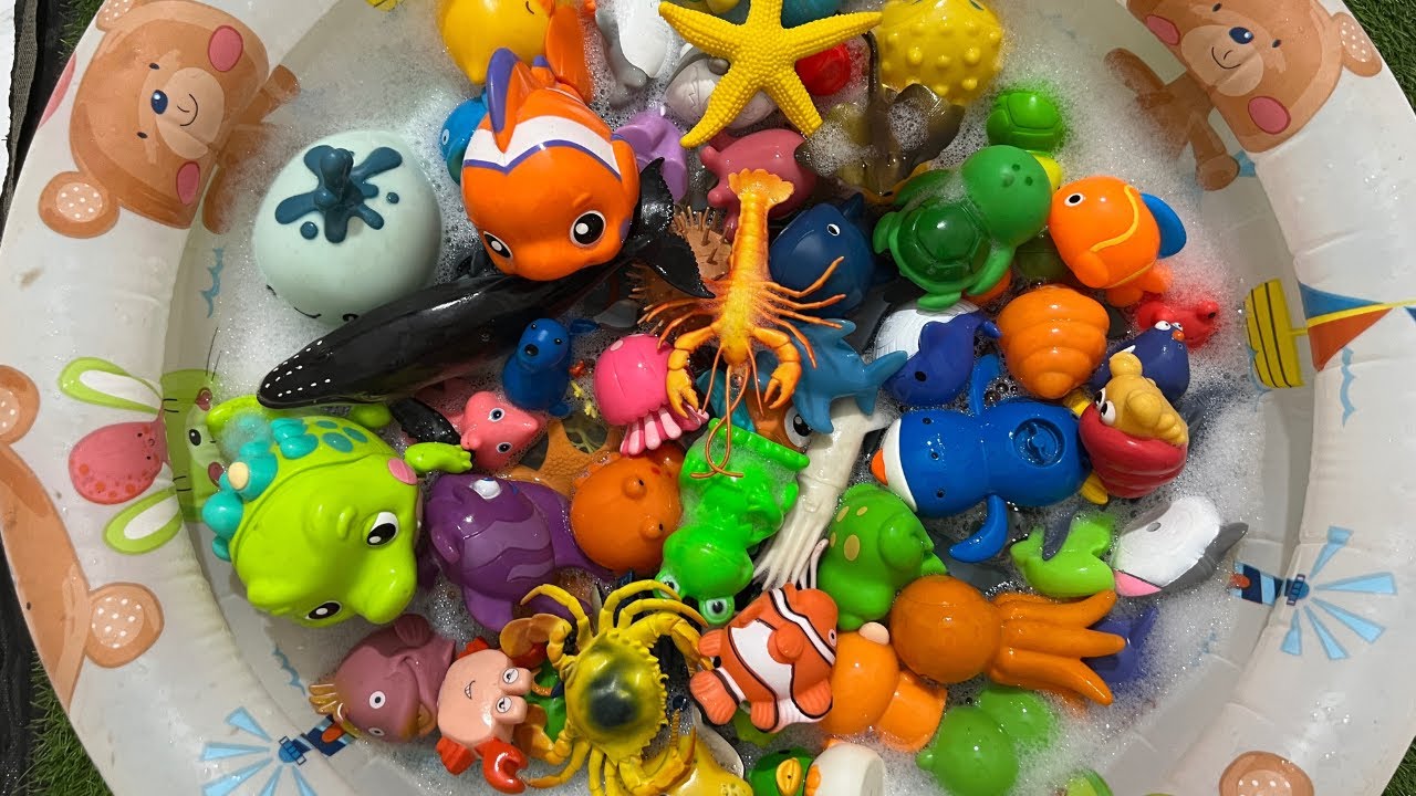 Learn sea animal names and facts sea animals videos learn about sea