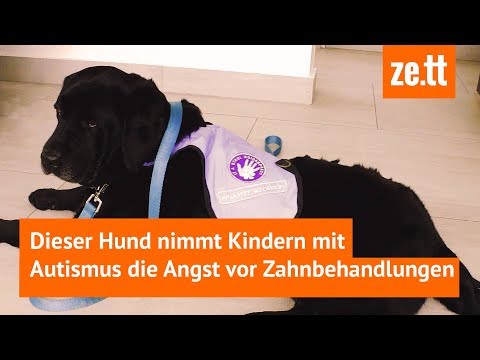 Video: Hund nimmt Vollzeitjob, um Autistischen Jungen vom Wandern zu halten