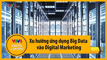 Xu hướng ứng dụng Big Data vào Digital Marketing | VTV4
