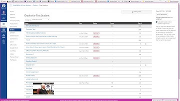 Attendance & Grades in Canvas