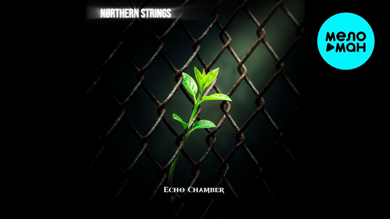 NØRTHERN STRINGS - Echo Chamber (Single 2026) adlı videoyu YouTube'da izle NØRTHERN STRINGS - Echo Chamber (Single 2026) adlı videoyu YouTube'da izle