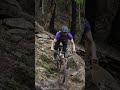 A billionaire's double black diamond trail ◆◆