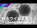 巨大ウイルス発見！ ウイルスから生物の起源を探る｜Science Portal動画ニュース（2026年6月5日配信）