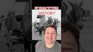 MULES AND HORSES FORGOTTEN HISTORY #history #historical #mule #mules #horse #horses #historyfacts