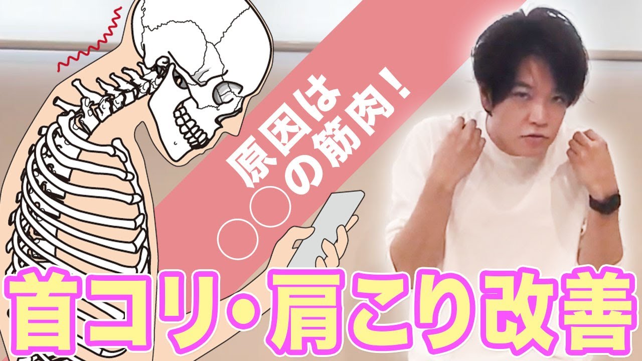 その不調、実は“僧帽筋”が元凶かも？ 首・肩こりを根本から整える方法【解剖学/ピラティス/僧帽筋】