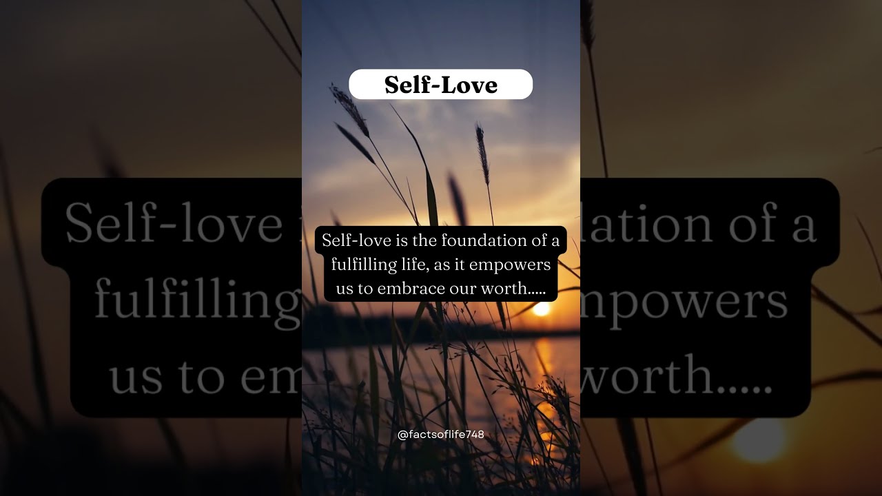 Living a Balanced Life: Prioritizing Wellness and Work-Life Harmony 