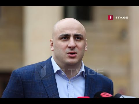 ნიკა მელიას საქმესთან დაკავშირებით, განცხადებას ავრცელებენ ოპოზიციური პარტიების წარმომადგენლები