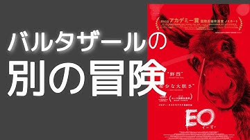 「EOイーオー」アカデミー国際映画賞ノミネート　ロバの冒険　ロバの目から見た人間は滑稽。映画レビュー、ネタバレなし