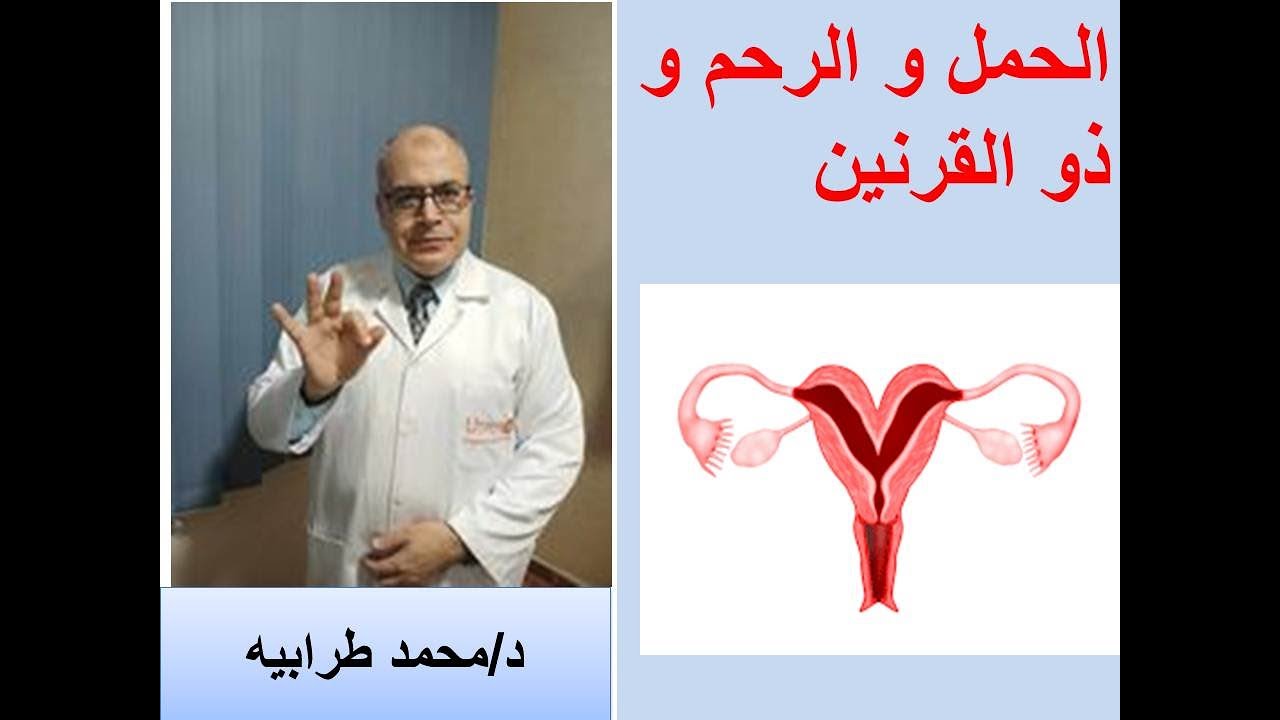 الحمل و الرحم ذو القرنين. #دكتور_محمد_طرابيه