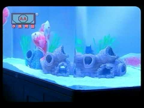 AA水族用品 2011(兔年) 賀年廣告