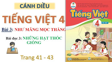 Tiếng Việt 4| Bài 3| Như măng mọc thẳng| Bài đọc 3| Những hạt thóc giống| Cánh diều