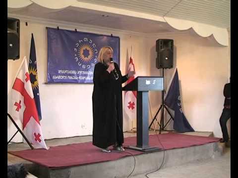 იმერვიზია 2014- წინსაარჩევნო შეხვედრები 2014