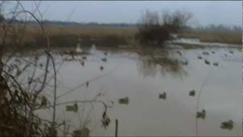 DUCK HUNTING 101 DECOY SET UP AND PLACEMENT
