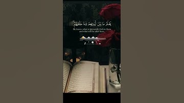 #آية الكرسي _من سورة البقرة. #تلاوة الشيخ _ياسر الدوسري. 🌹🌺💗