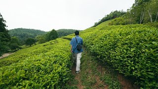 광주, 보성, 순천은 14mm로 봐야지 | SEL14F18GM