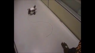 Robot hand gesture control - Otto
