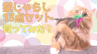 【総選挙】猫じゃらし13点セット 栄光の1位に選ばれたのは？