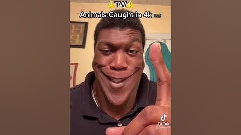 Random videos I have saved in my phone (without context) pt.3!!!!