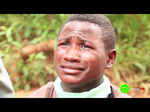 Video: Mbwa Kupatikana Kufa Kwa Banda Anapata Furaha Baada Ya Kupewa Nafasi Ya Pili-Na Ya Tatu-Maishani