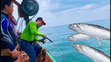 CÂU CÁ BIỂN 3/câu jig cá bè trang, bè quỵt , cá thu Gặp Ổ Quá Lớn Cá Cắn Câu Kéo Không Kịp.