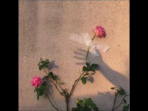 The Deli 5 32 Pm Extended