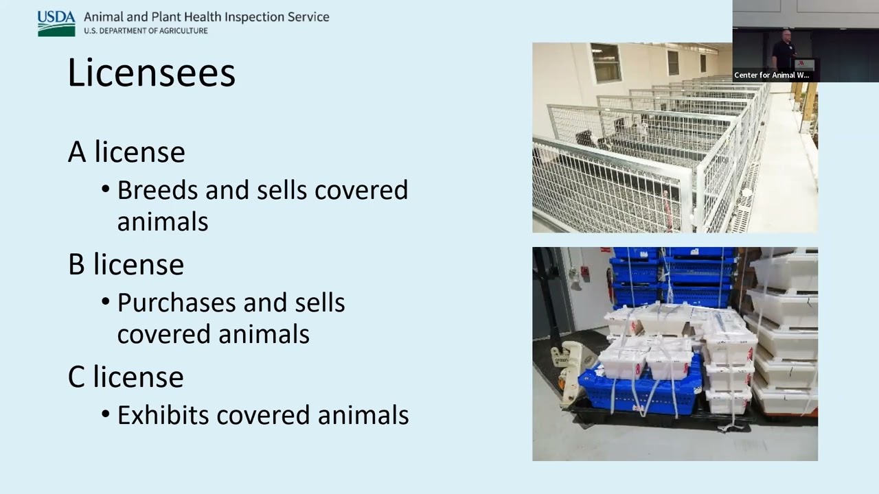 The Changing Landscape of Ground Transportation  Animal Transportation  Welfare Symposium 2023 - YouTube