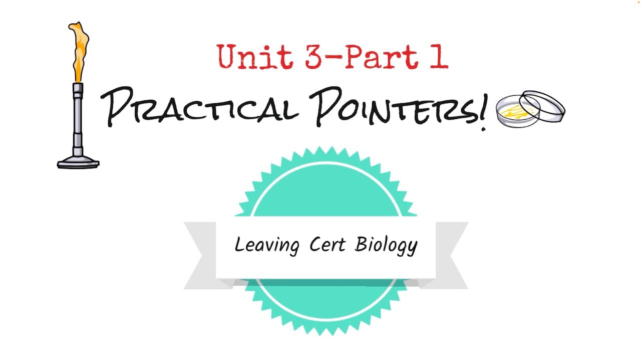 Unit 3 Practicals Part 1Biology Bugbears Leaving Cert Practicals 2024