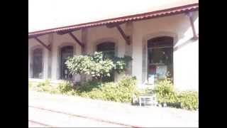 La Zorrilla del Albergue