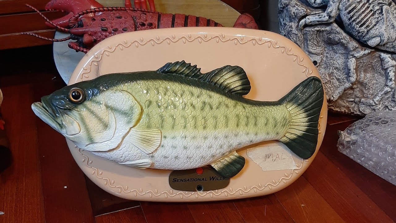 Sensational Willy Singing Fish YouTube