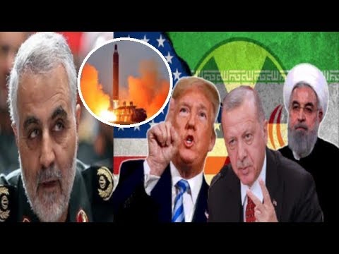 Mushukga nima qoyish kerak