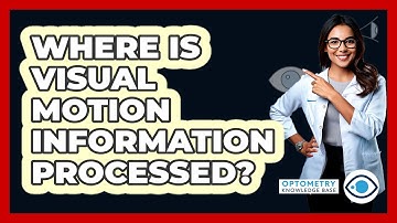 Where Is Visual Motion Information Processed?