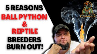 Famous 5 Things That Cause Reptile & Ball Python Breeders to Quit! Wealth