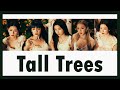 THAISUB G I DLE Tall Trees แปล mp3