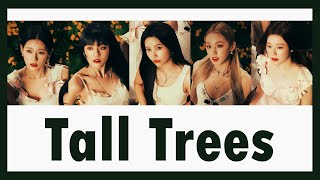 [THAISUB] (G)I-DLE - 'Tall Trees' แปล