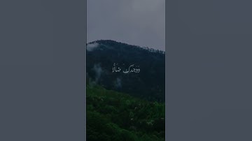 ألم يجدك يتيما فأوى القارئ إلياس ناعوس قرآن كروما #تلاوة_خاشعة #راحة_نفسية #ترند#لايك#اكسبلور #دويتو