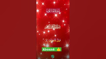 سوره الماعون القرآن الكريم بصوت جميل ورائع
