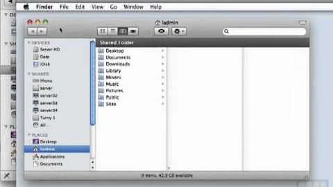 Starting the Web Service - Apple Mac 10.6 Server Tutorial