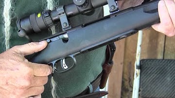 Cover Image for Savage Model 25 Walking Varminter in 17 Hornet - Gunblast.com