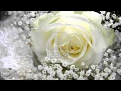 თეთრი ვარდი...