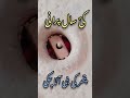 desi atta chakki | old technology atta chakki |#attachakki