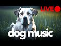 Dog Music LIVE - Soothing Sleep Sounds for Dogs - Gentle Relaxation Songs