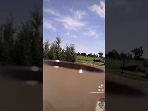 فاضي شوية نشرب قهوة في حته بعيدة