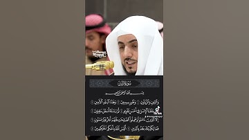 سورة التين • الشيخ الوليد الشمسان