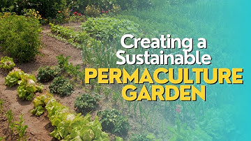 Creating a Sustainable Permaculture Garden